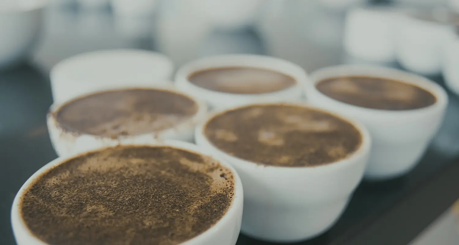 Coffee cupping lab with Q-graders performing sensory evaluation